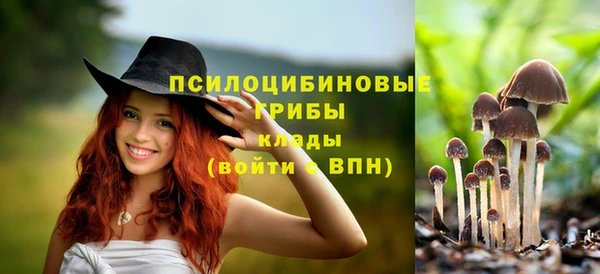 a pvp Володарск