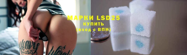 a pvp Володарск